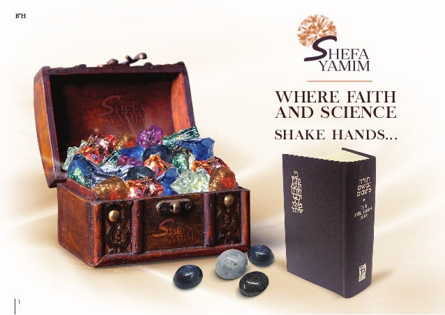 The King in the Field (The Chassidic Treasure Chest)